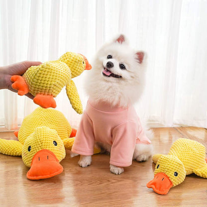 Xevyne® Calming Duck Toy