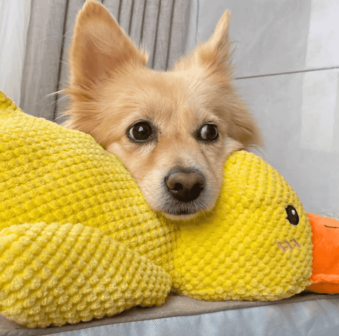 Xevyne® Calming Duck Toy