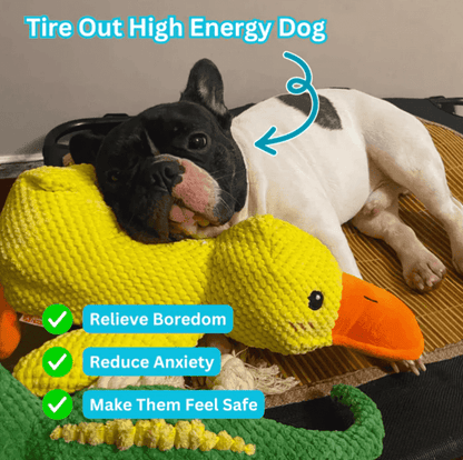 Xevyne® Calming Duck Toy