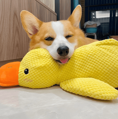 Xevyne® Calming Duck Toy