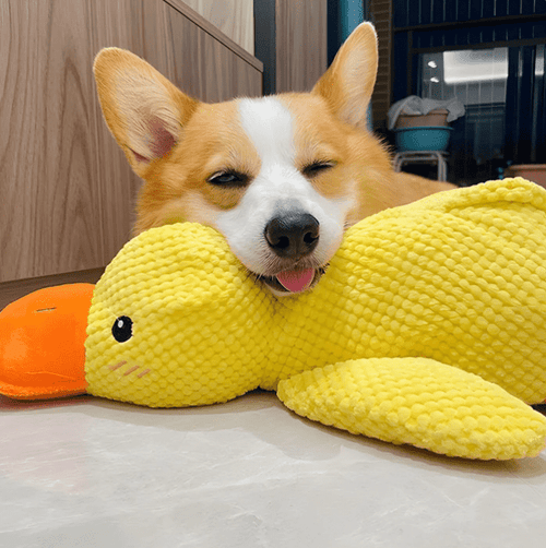 Xevyne® Calming Duck Toy