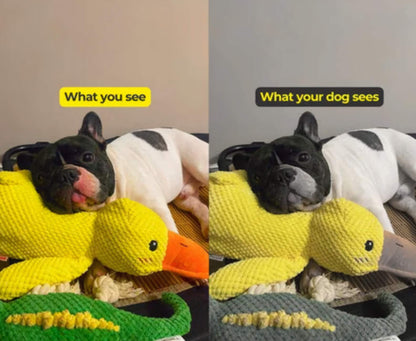 Xevyne® Calming Duck Toy